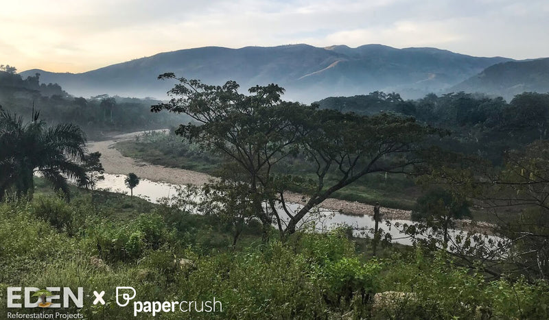 Eden Reforestation Projects x papercrush