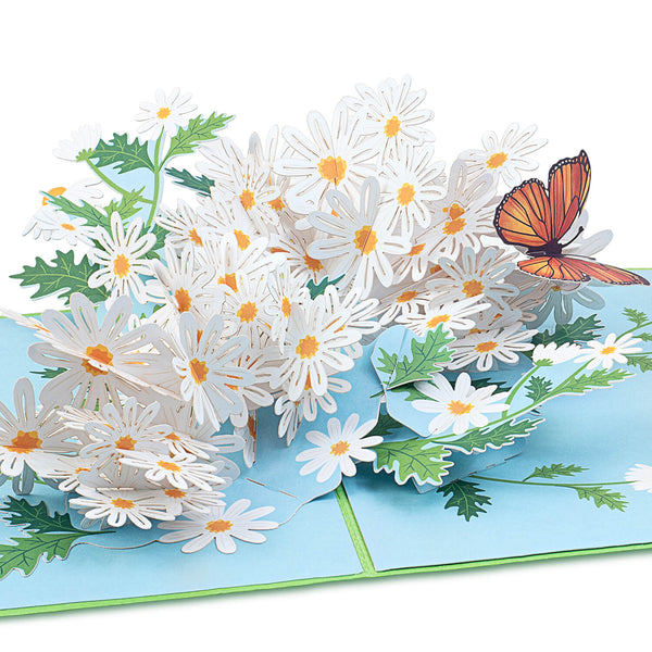 Daisy avec carte pop-up papillon
